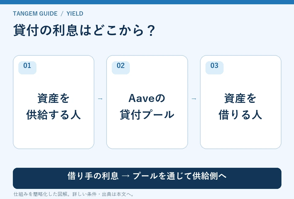 貸付の利息はどこから?。資産を:供給する人、Aaveの:貸付プール、資産を:借りる人。借り手の利息 → プールを通じて供給側へ